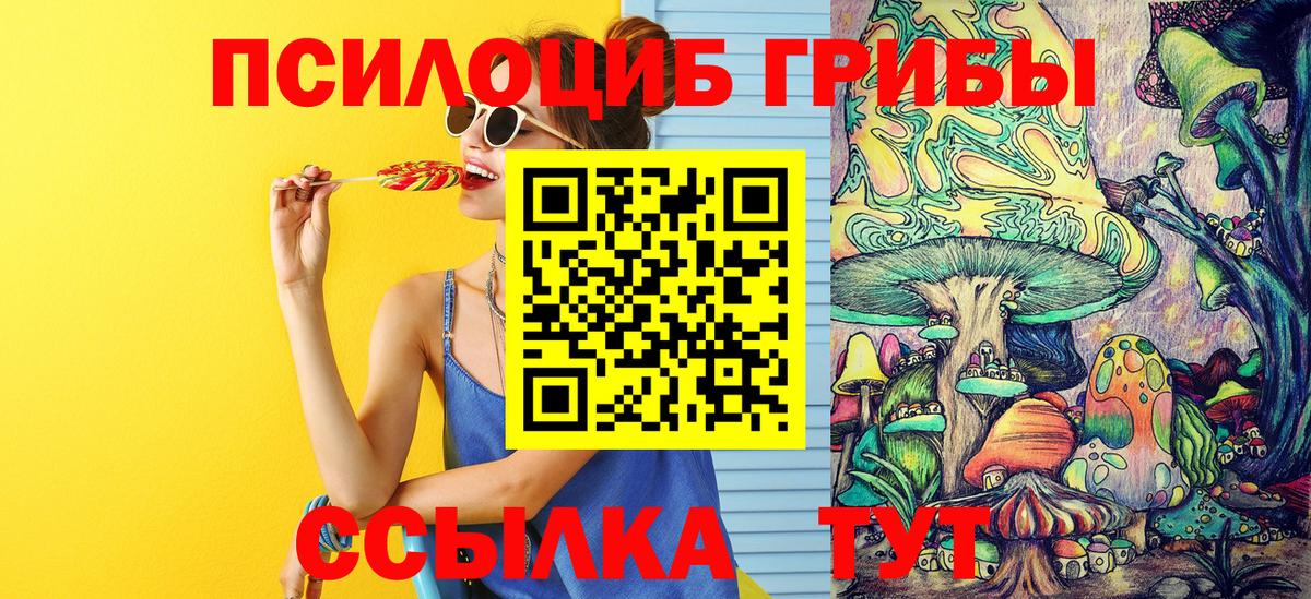 Великие Луки  Псилоцибиновые грибы мицелий  Вход с VPN 