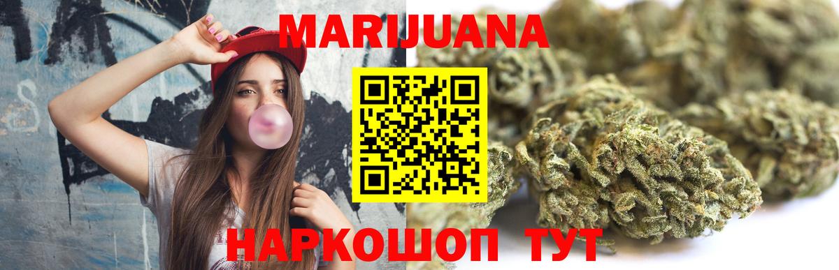 Конопля гибрид Великие Луки